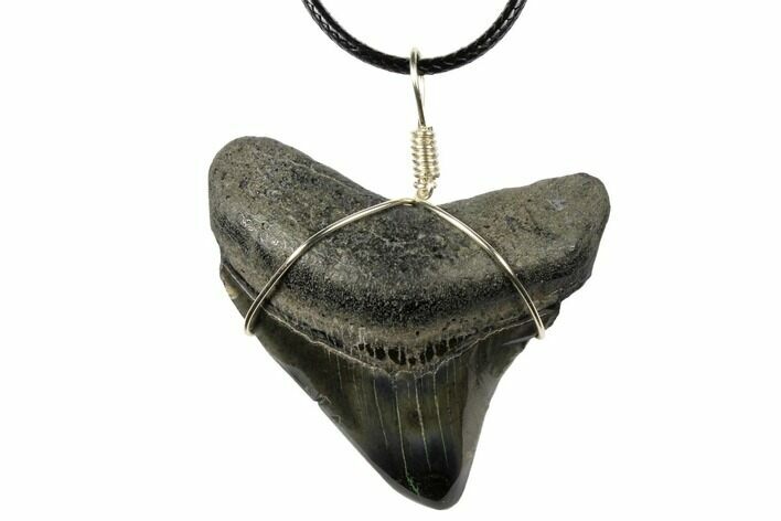 Fossil Megalodon Tooth Necklace #130973